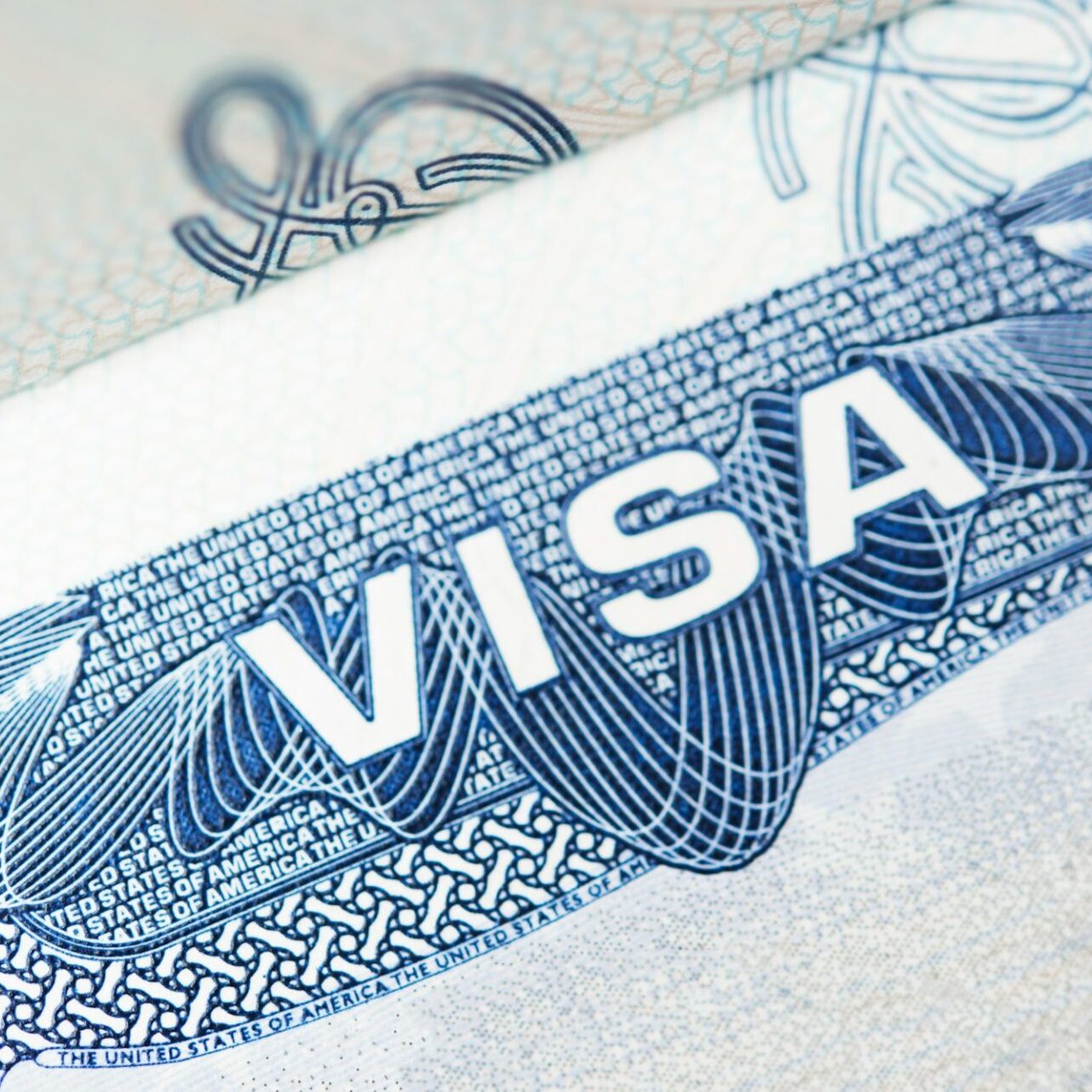 Employer-Sponsored Visas